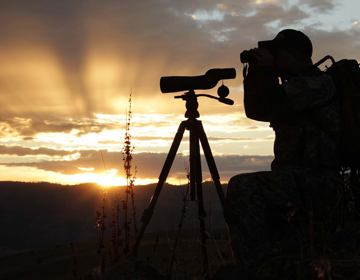 When to Start Scouting for Fall: Why Now Might Be Too Early (and How Deer & Elk Patterns Shift Through the Year)