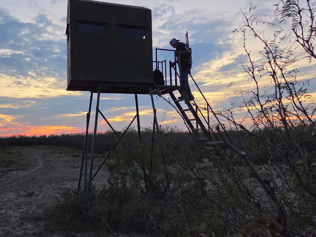 Texas Deer Season 2026–2027: Dates, Zones, Regulations, and What You Need to Start Planning Now
