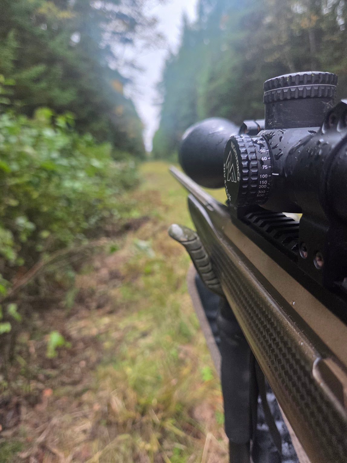 100-Yard vs 200-Yard Zero for Deer: What the Ammo Makers' Own Tables Show