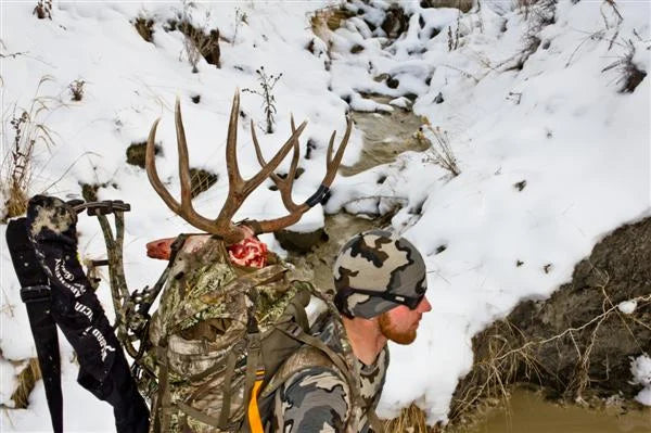 Mule Deer Pack-Out: When a Frame Pack Beats the Drag Rope