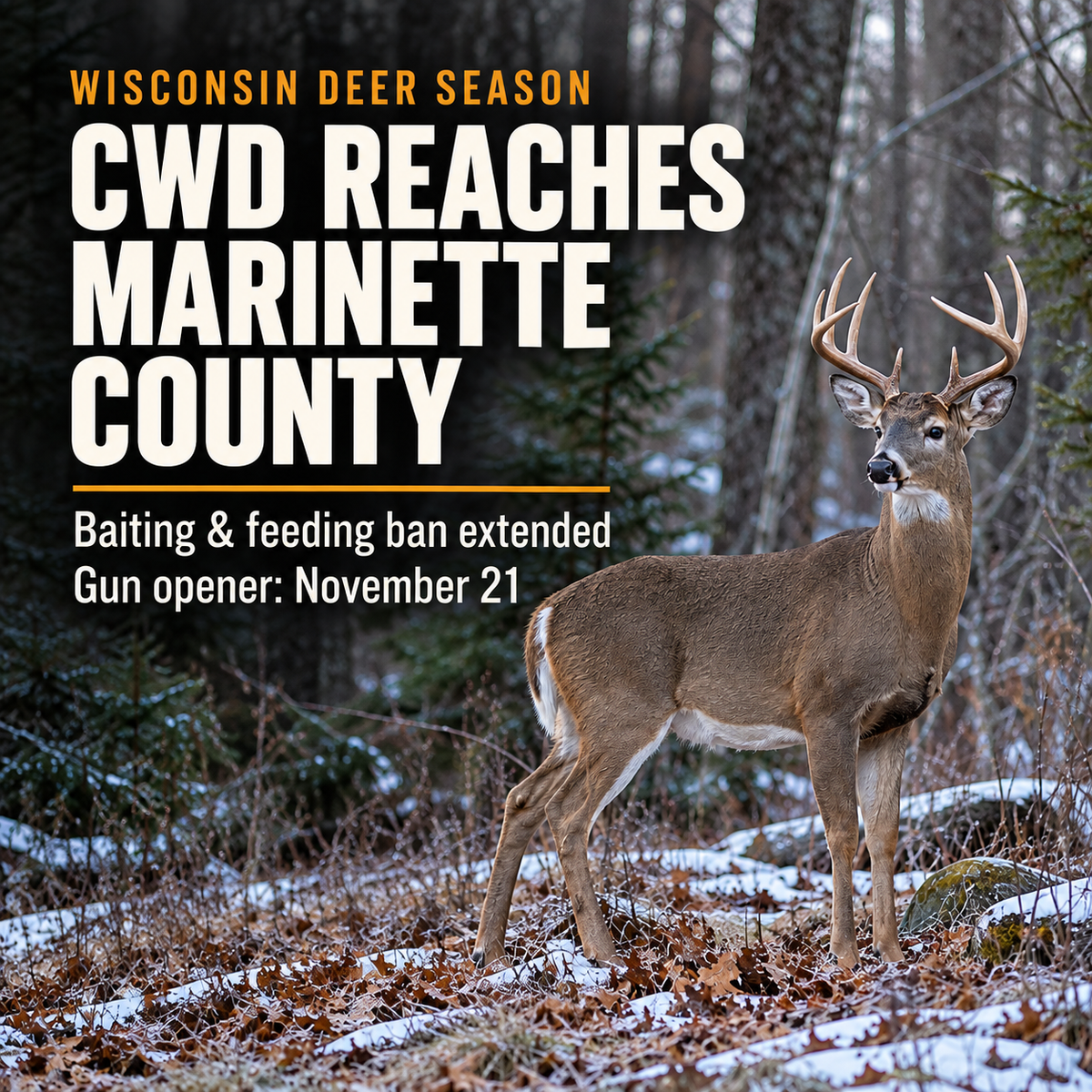CWD Reaches Marinette County: The Baiting Ban and the Nov. 21 Gun Opener
