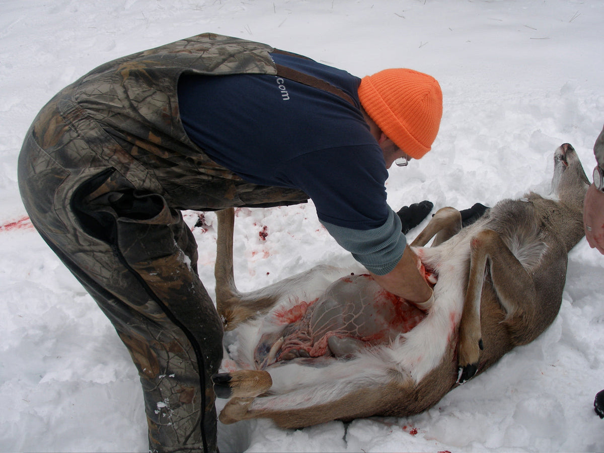 How to Field Dress a Deer in 2026: Screwworm Check, CWD and Carcass Rules