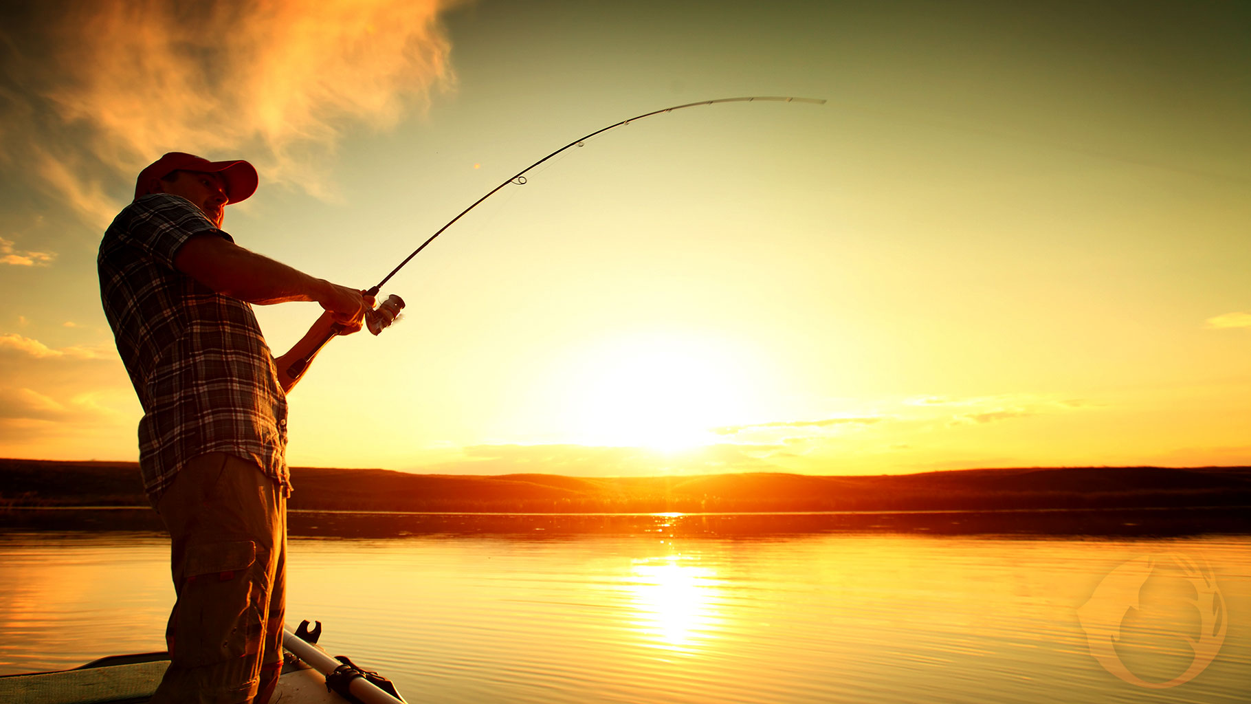 Beat the Heat: Summer Bass & Catfish Patterns That Actually Work
