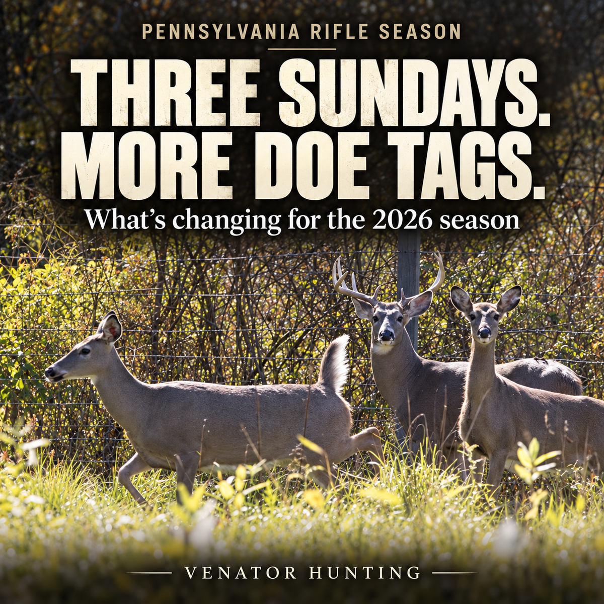 Pennsylvania Rifle Season 2026: Three Sundays, 1.47 Million Antlerless Tags and a CWD Rule Change