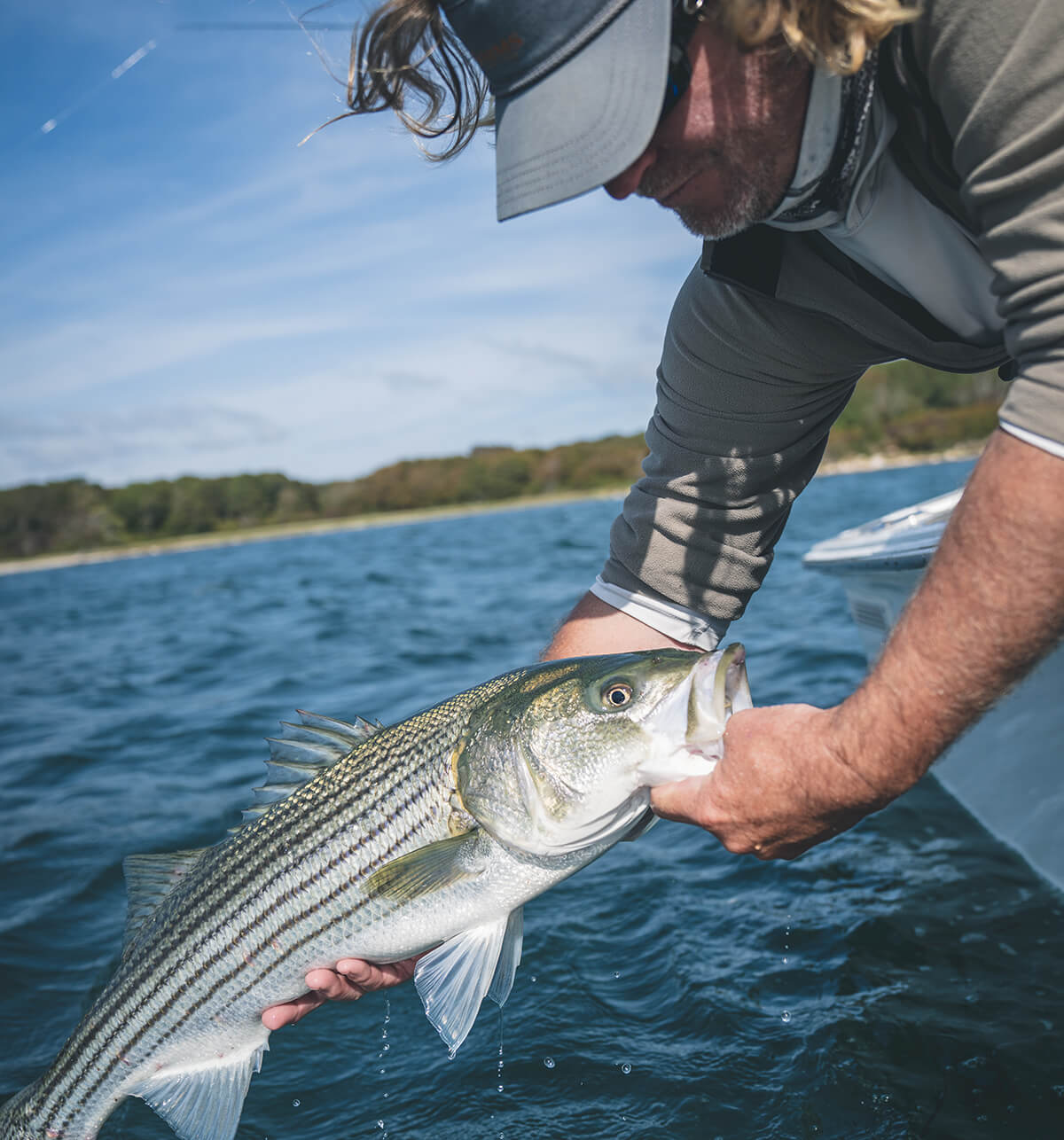 Atlantic Menhaden Vote Nov. 9–12: What It Means for Striper Anglers