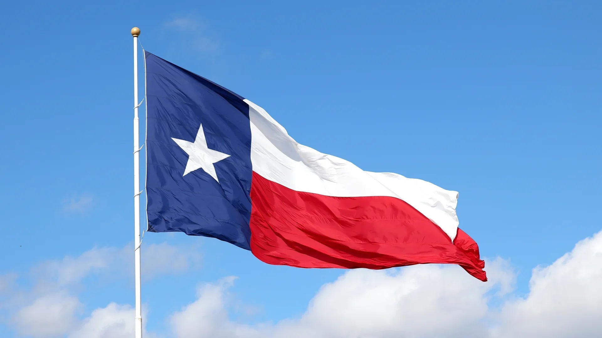 Texas state flag - cyberattack on hunting fishing license database