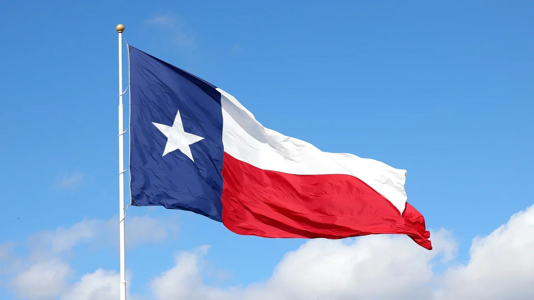 Texas state flag - cyberattack on hunting fishing license database
