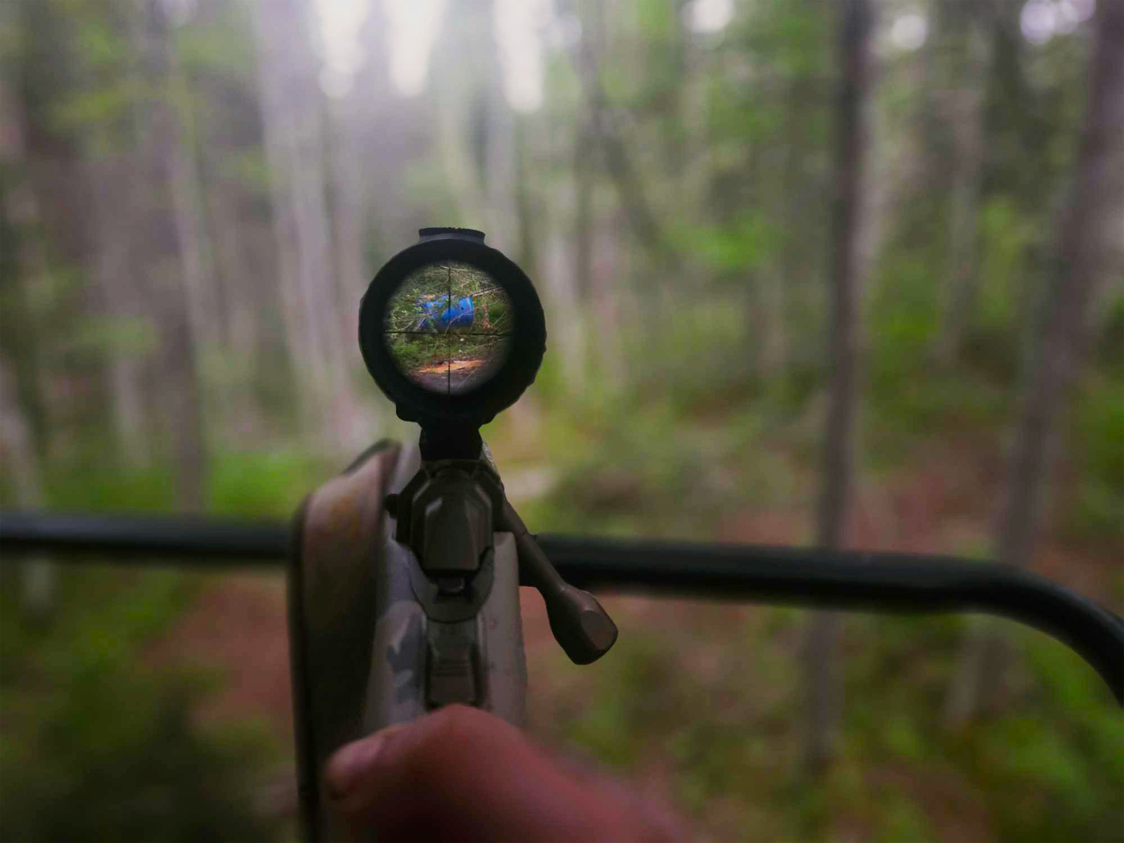 Best Hunting Optics of 2026: How to Choose Scopes, Binoculars, and Rangefinders That Won't Let You Down