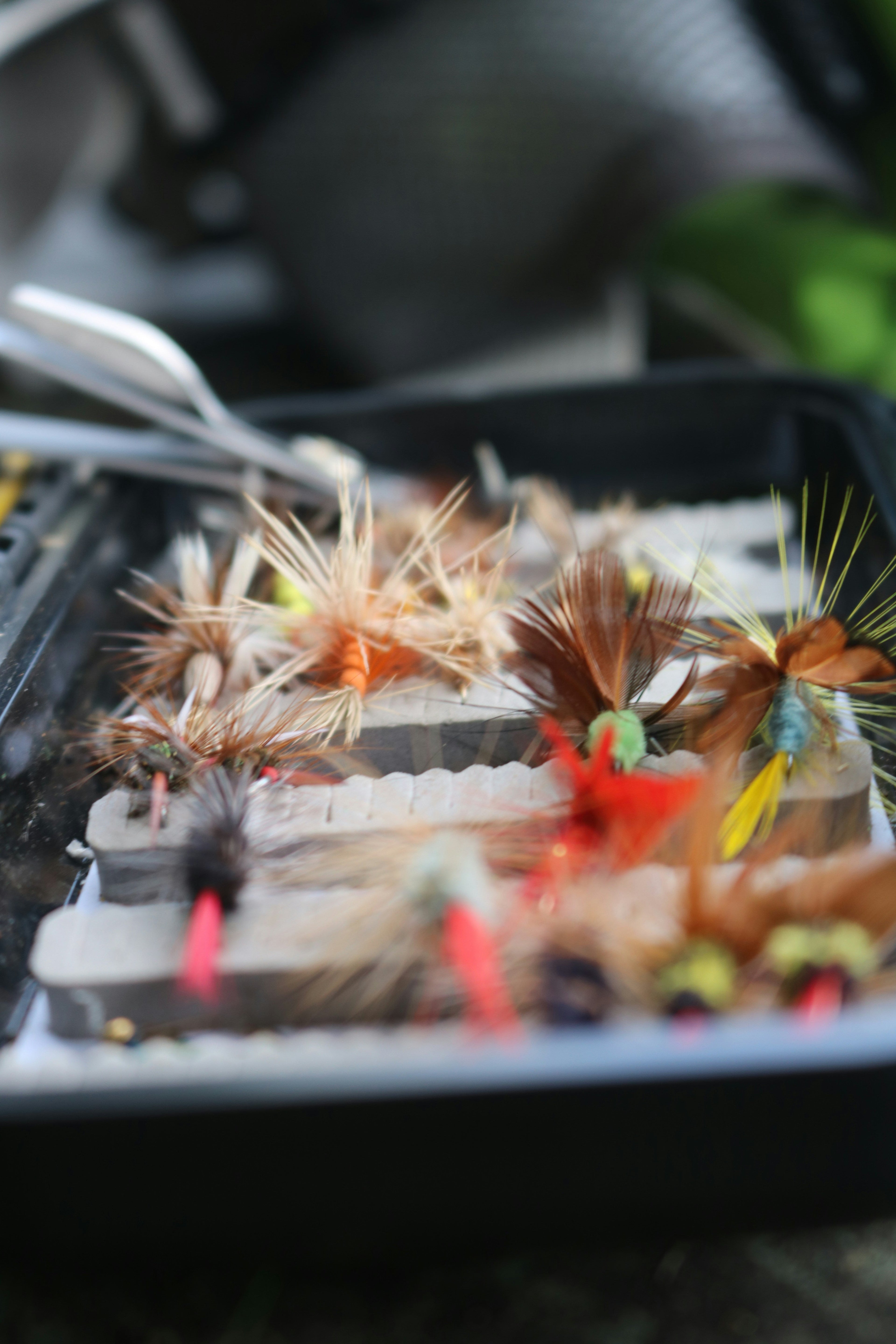 Best Fly Fishing Flies for Beginners: The Essential Patterns Every Angler Needs to Know