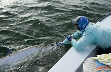 Chasing Silver Kings: A No-Nonsense Guide to Tarpon Fishing (And Why Every Angler Should Try It Once)