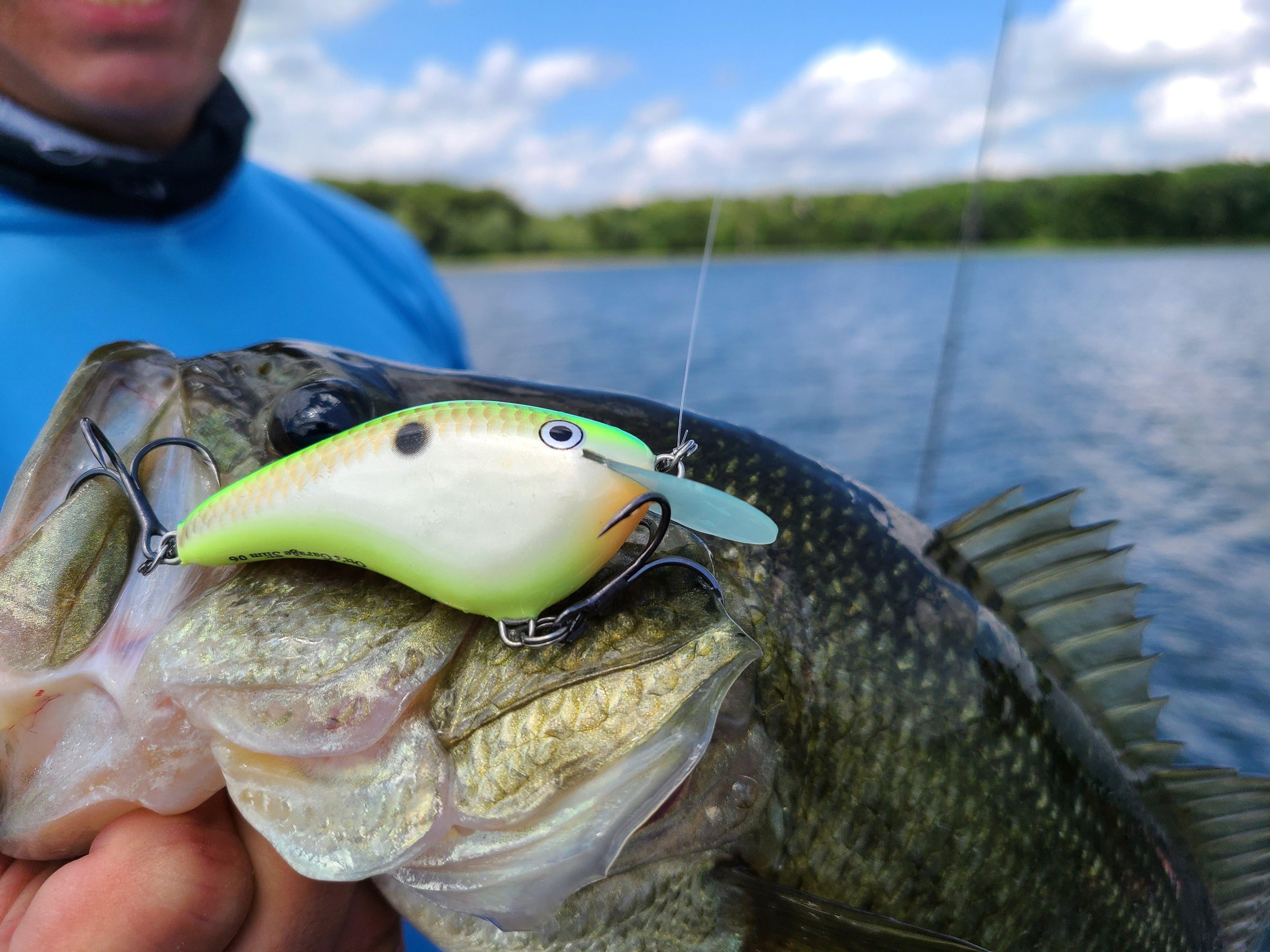 The Thermocline Map: Where Summer Bass Actually Live — and the Low-Light Windows That Put Them on Top