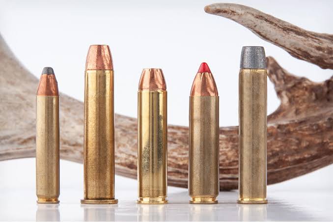 Tennessee's New Straight-Wall Rifle Season Opens Nov. 14: The Single-Shot Rule, the Ballistics, and the Scope That Fits