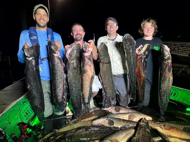 Bow vs. Snakehead: The Chesapeake Study Putting Bowfishing on the Map