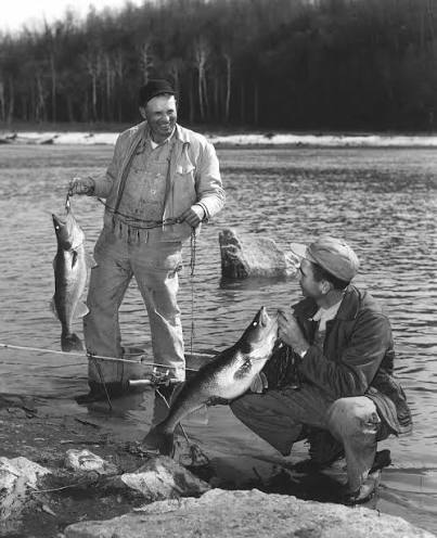 Fall Walleye Fishing: Go Shallow, Not Deep