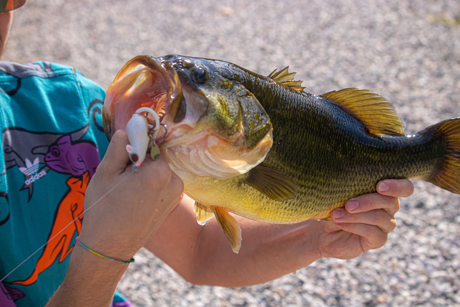 Angler holding a largemouth bass caught from a boat