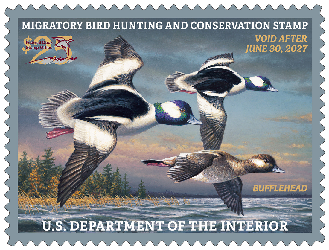 Duck Season 2026: Mallards Down 11%, Ponds Up 14%