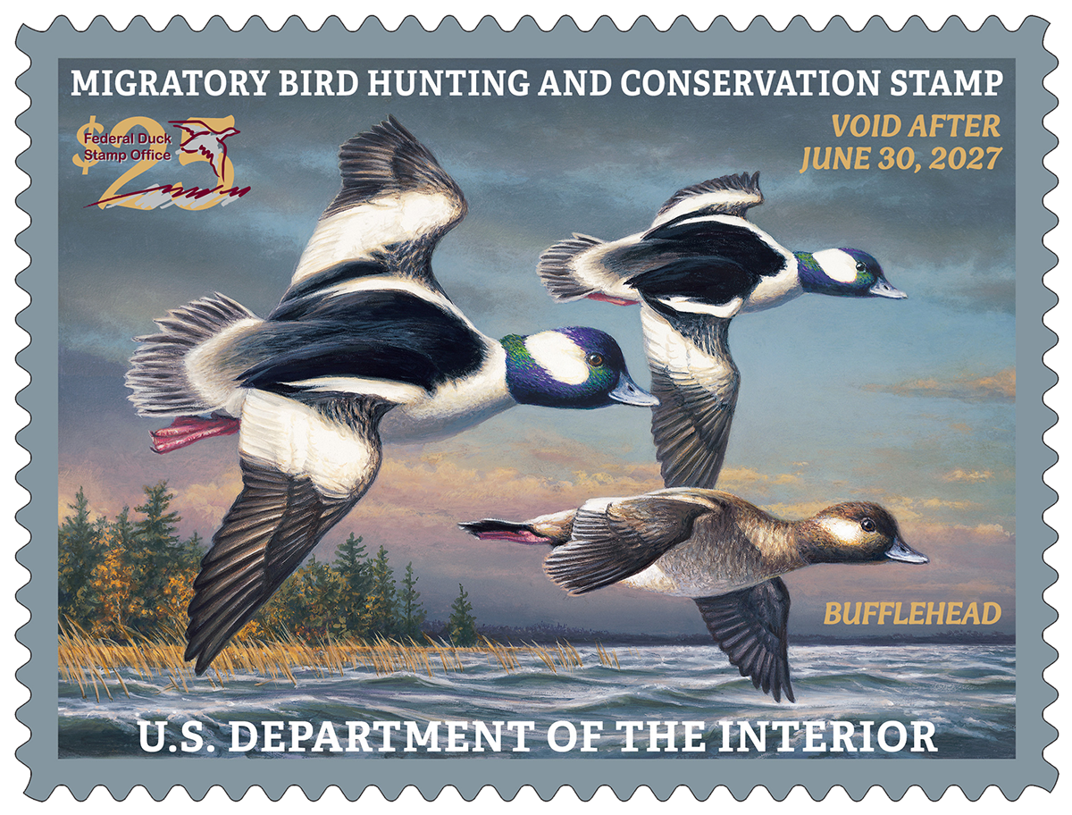 Duck Season 2026: Mallards Down 11%, Ponds Up 14%