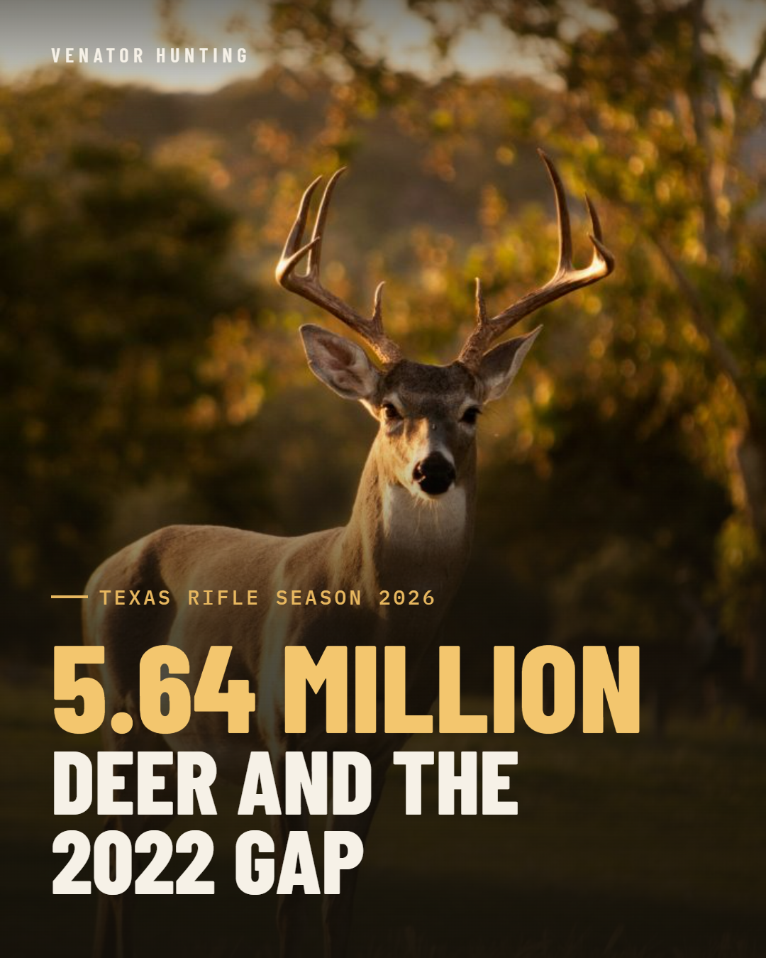 Texas Rifle Season 2026: 5.64 Million Deer and the 2022 Gap