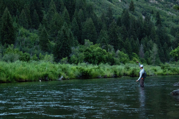 Fly Fishing