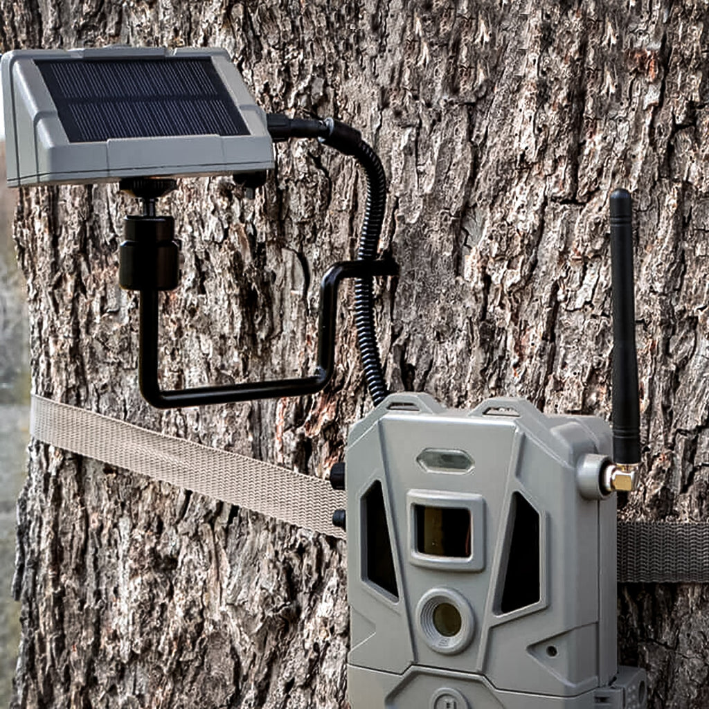 Bushnell Cellucore 20 Dual SIM Solar – Trail Camera