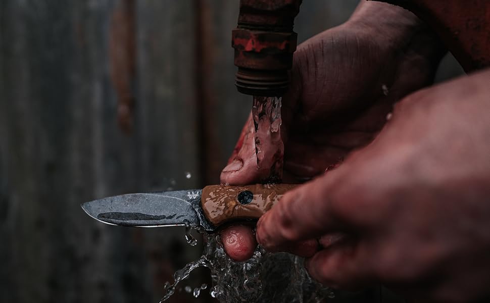 Bird Knife