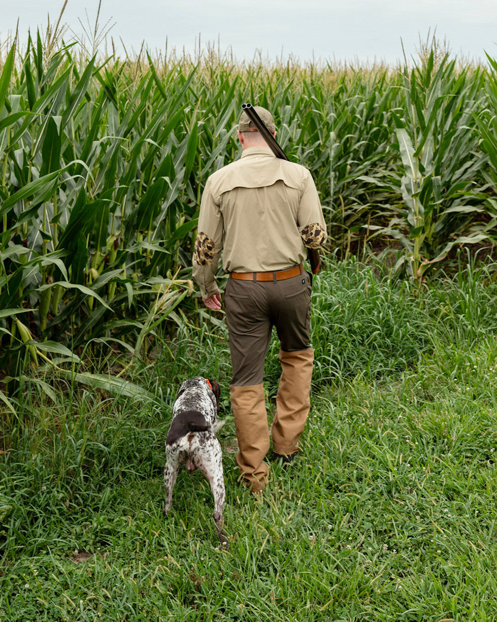 Hunter and pointing dog walking a corn field edge in the Loden Active+ Field Pant