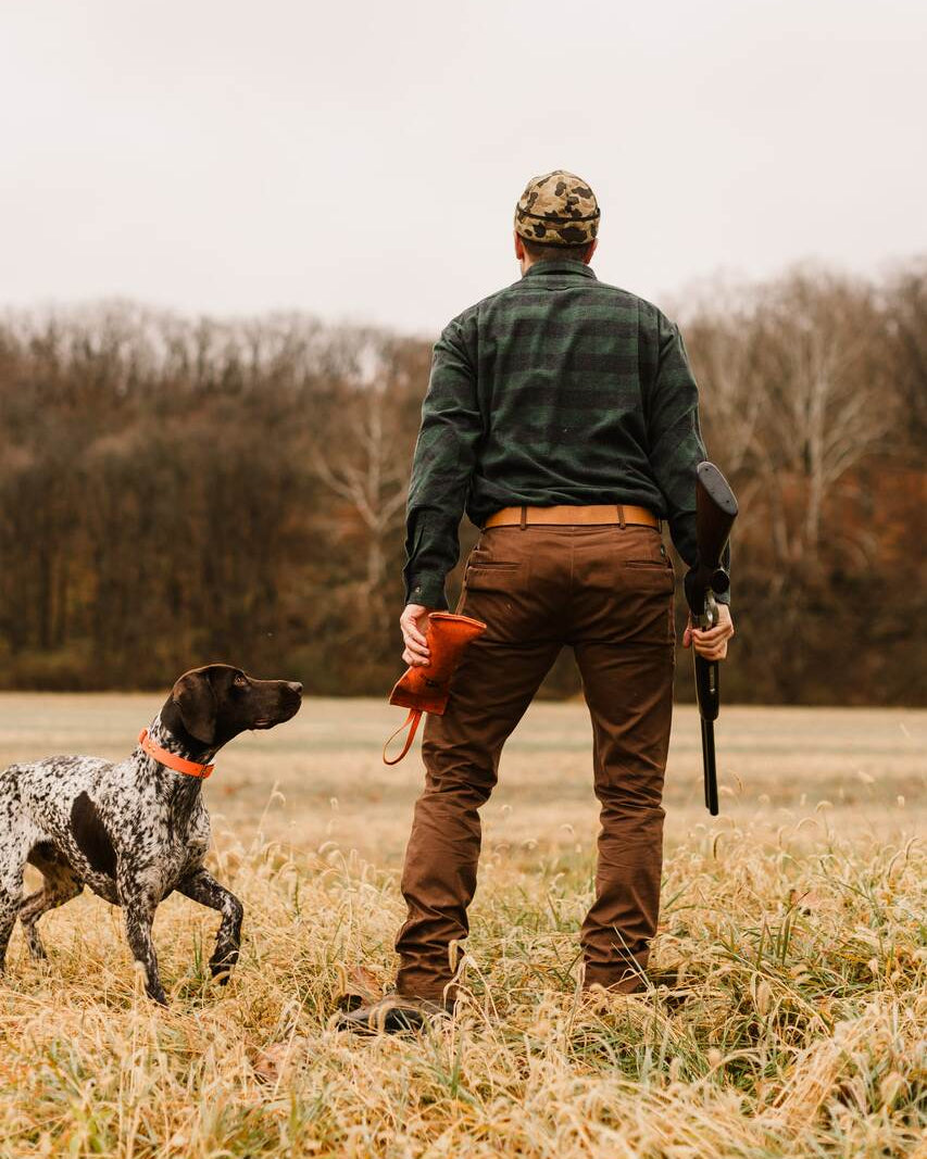 Hunter in the Green Buffalo Plaid shirt walking a field with a pointing dog