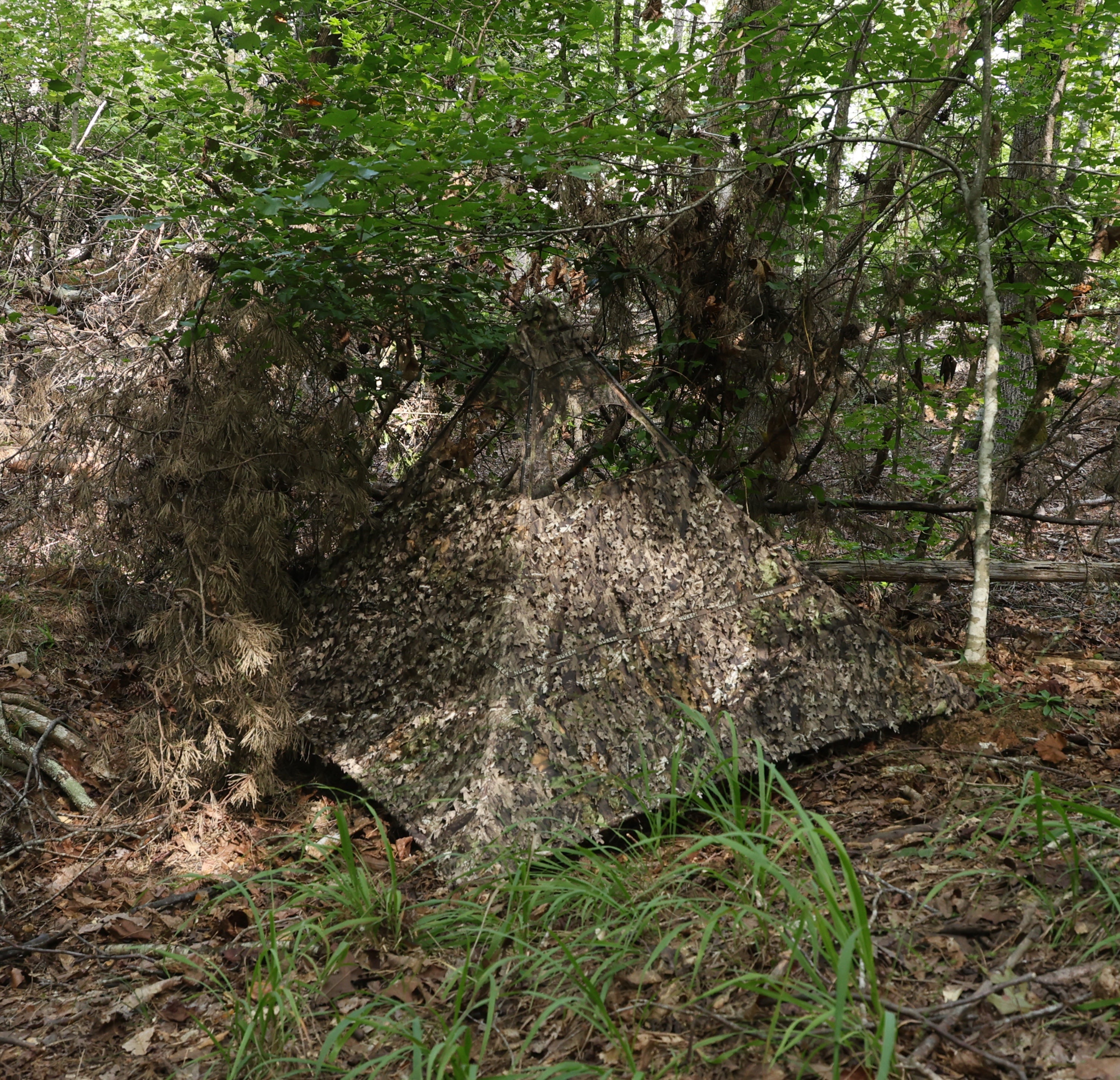 Leafy camouflage hunting blind in dense forest for deer and turkey hunting