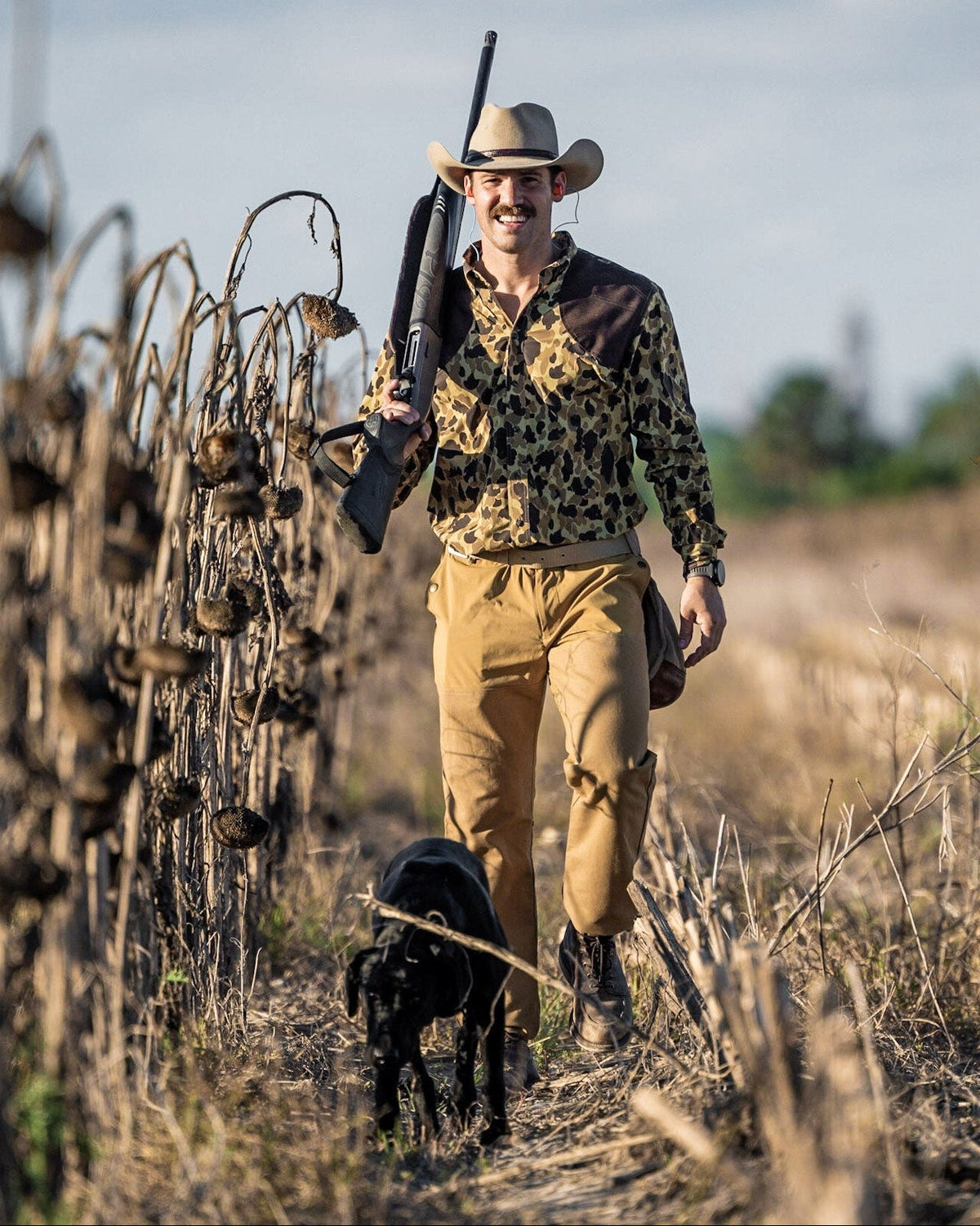 Upland hunter in a cowboy hat walking a sunflower field with a Lab, wearing the Active+ Field Pant