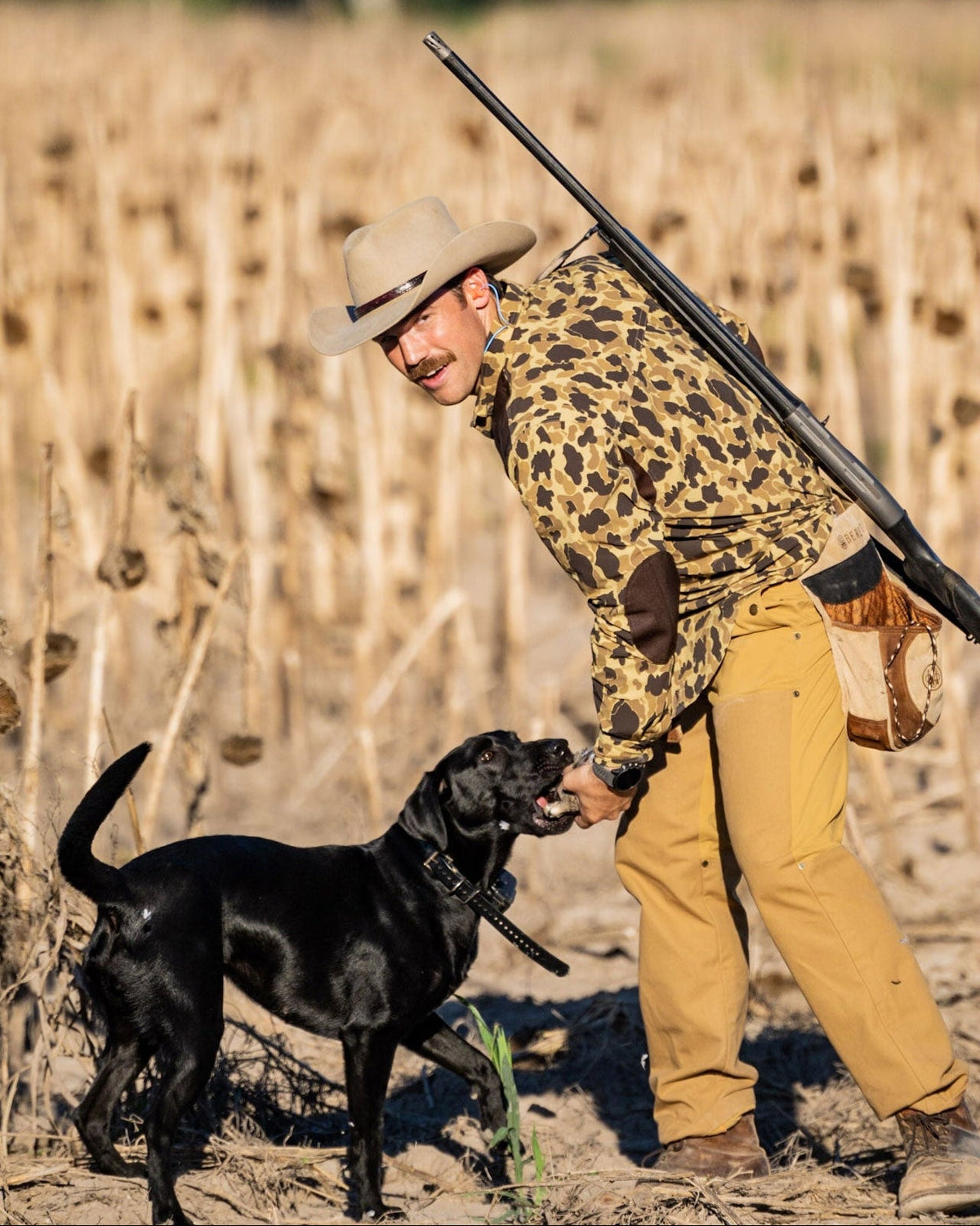 Hunter with a shotgun and black Lab in a sunflower field wearing the Active+ Field Pant