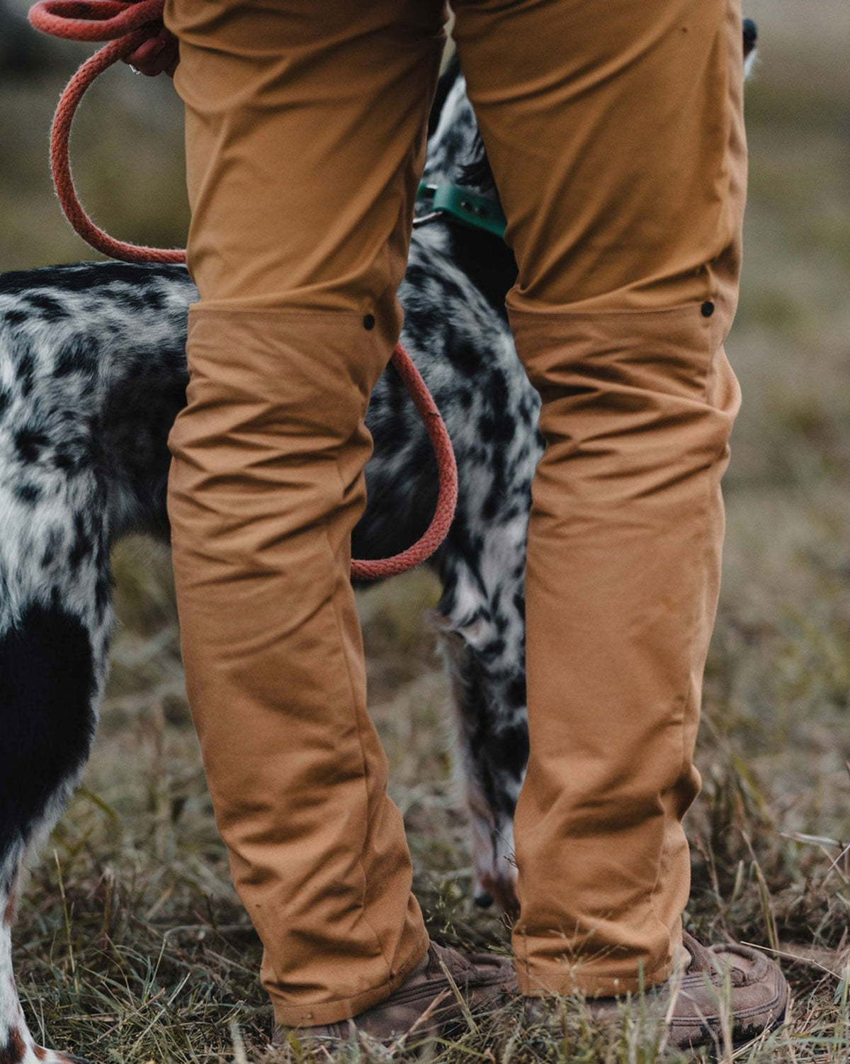 Signature Active+ Joan Field Pant worn standing beside a bird dog