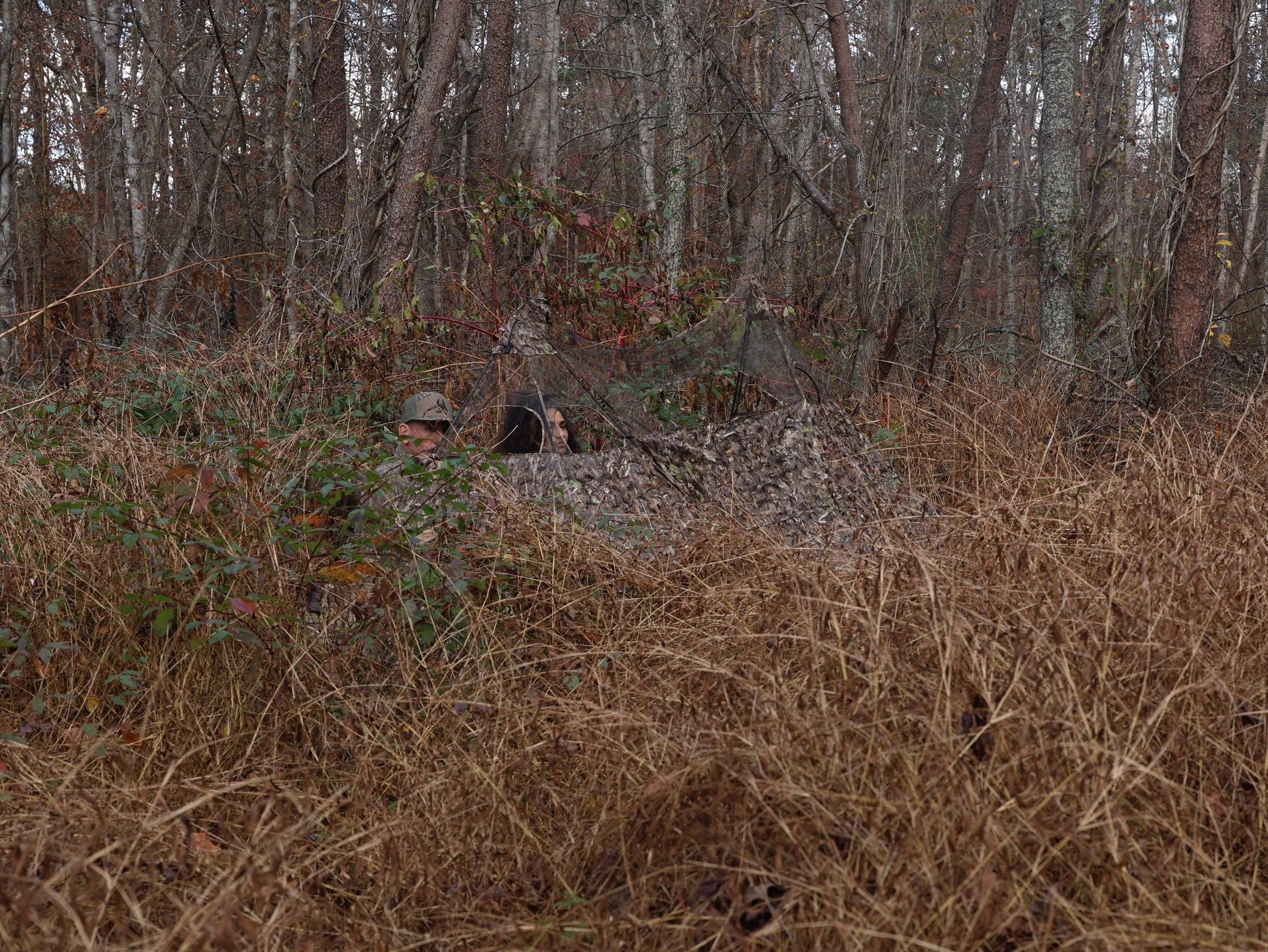 Camo hunting blind in woodland, concealing two hunters for deer or turkey hunting
