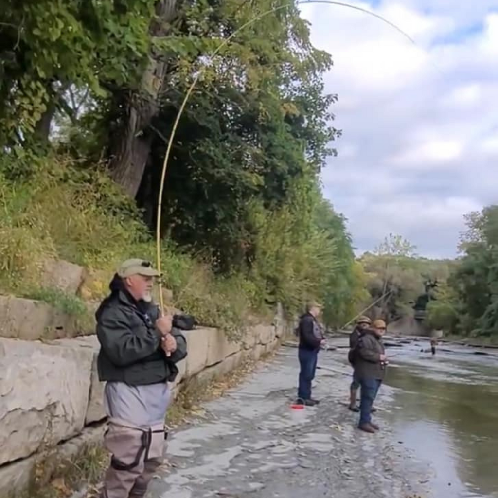 Hankyu Middle Fork