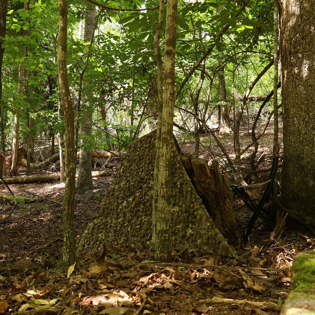 Camouflage hunting blind in dense forest with leafy ground cover and tree cover for concealment