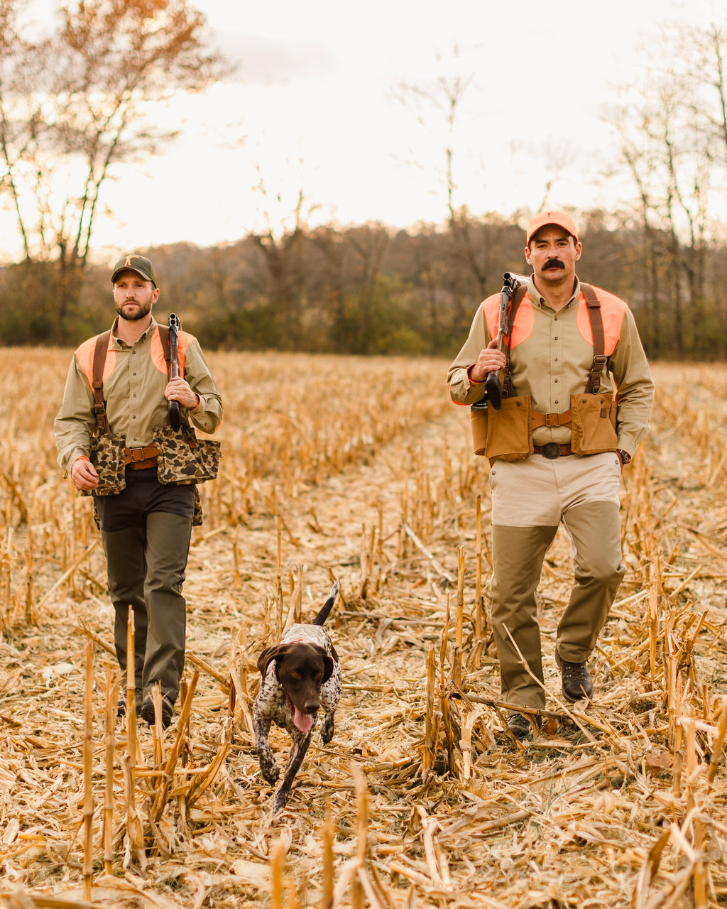 Two upland hunters and a bird dog walking a cut corn field in Ball and Buck strap vests