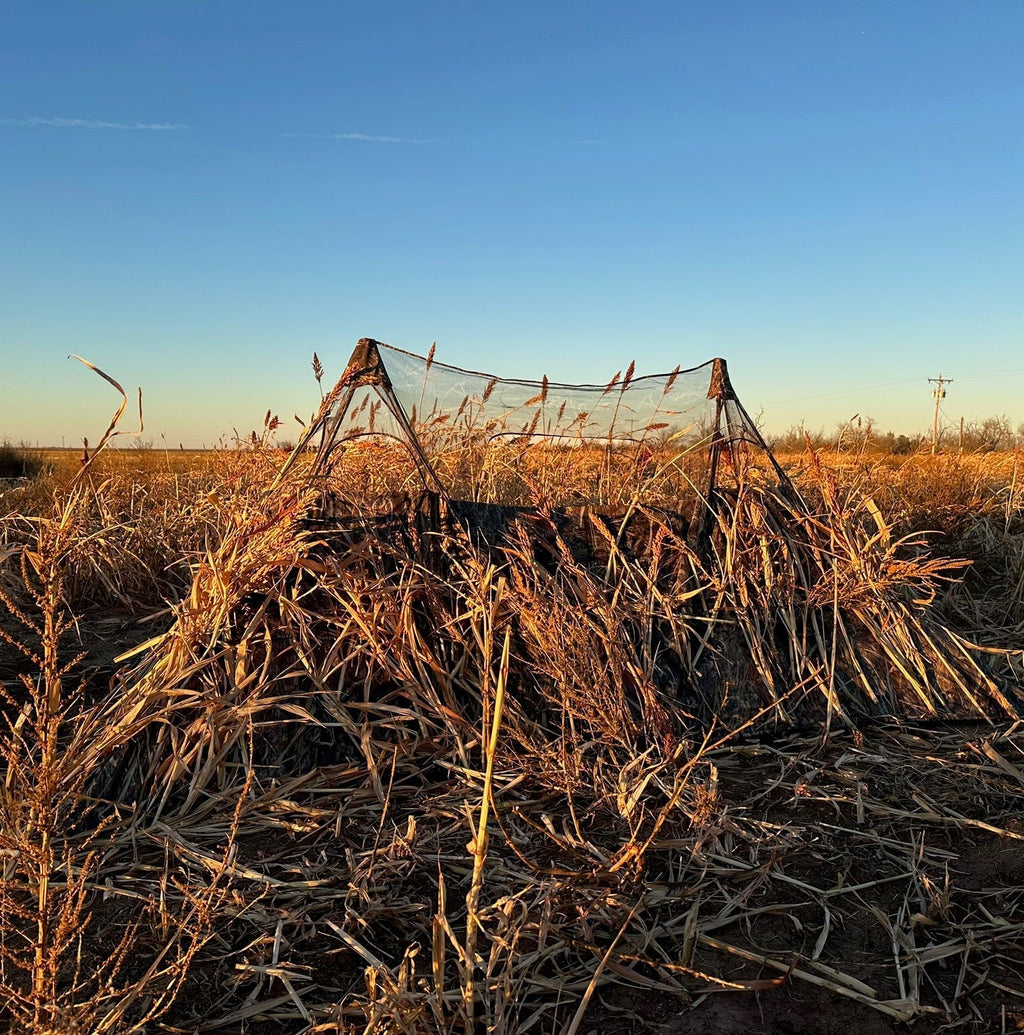 Camouflage hunting blind in dry field at sunset, blending with tall grass for deer or waterfowl hunting