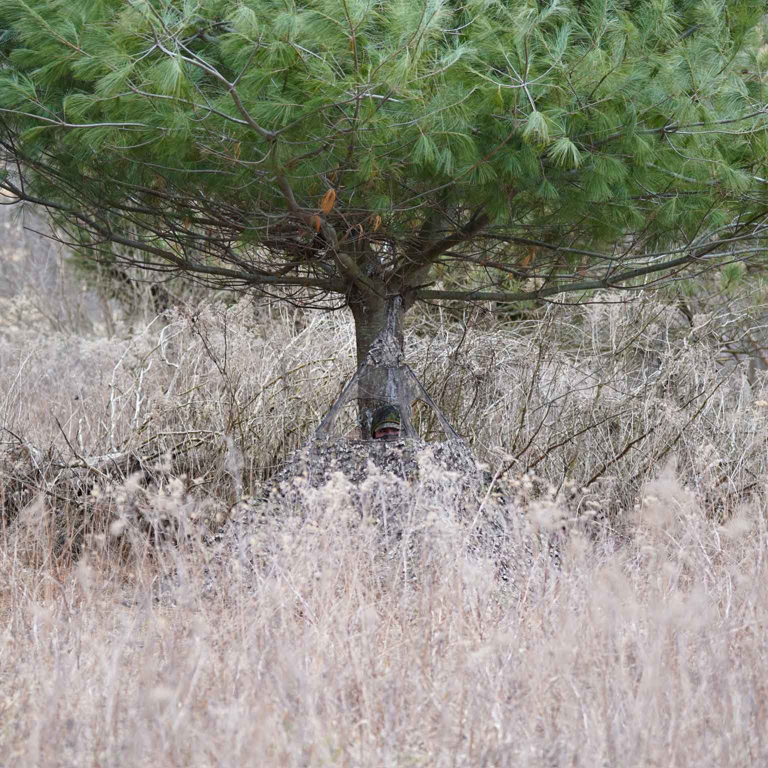 Hunter in camo ghillie suit blending into brush and pine tree for concealment during hunting