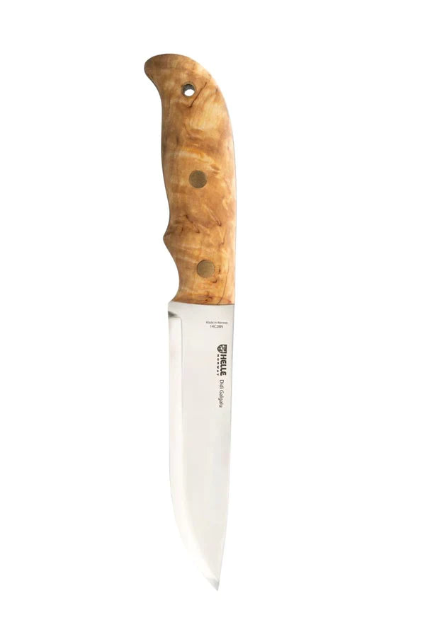Muela hunting knife with olive wood handle and stainless steel blade, ideal for outdoor and field use