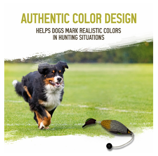 HuntEmUp Ultimate Dog Training Kit - Greenwinged Teal, Bag & Whistle
