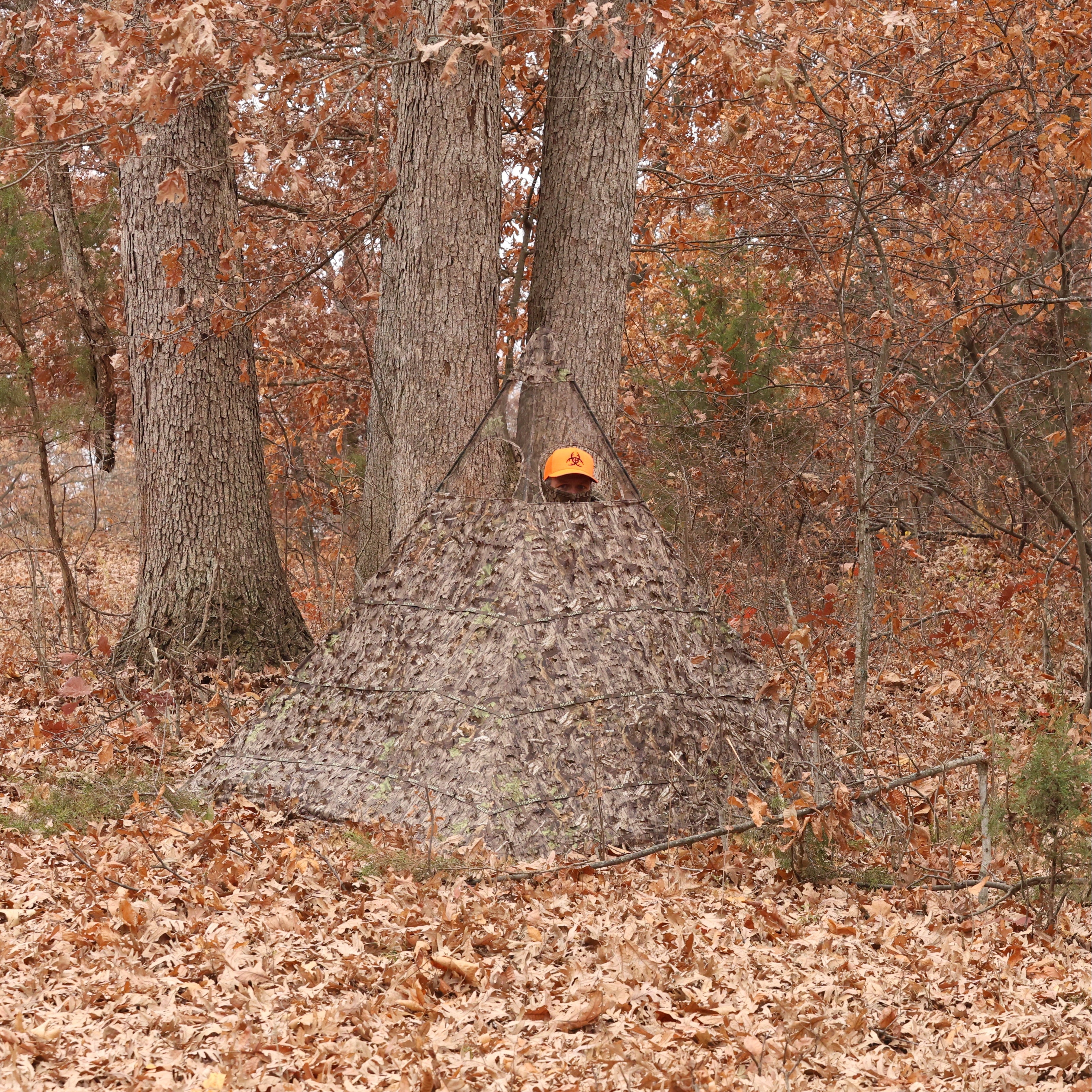 Leaf camo hunting blind in autumn woods, hunter in orange hat peeking out for deer hunting