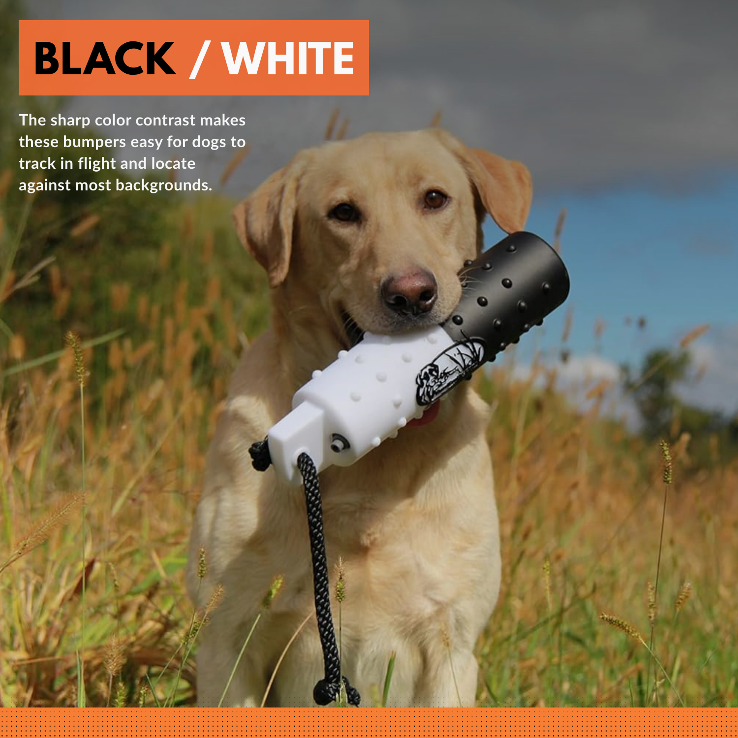 The HuntEmUp 3in Plastic Dog Training Bumper Dummy w/Valve Black White Flasher