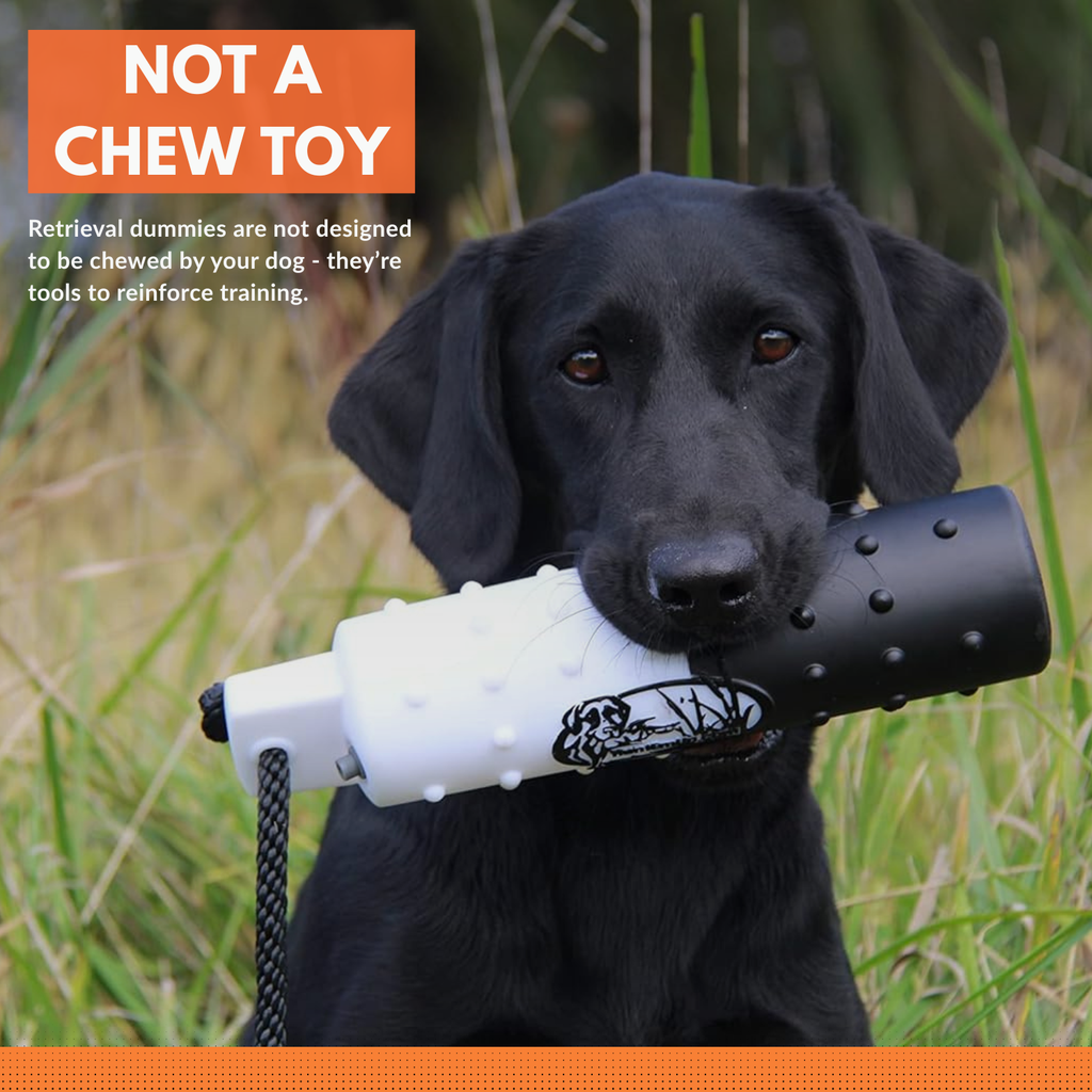 The HuntEmUp 2in Plastic Dog Training Bumper Dummy w/Valve Orange