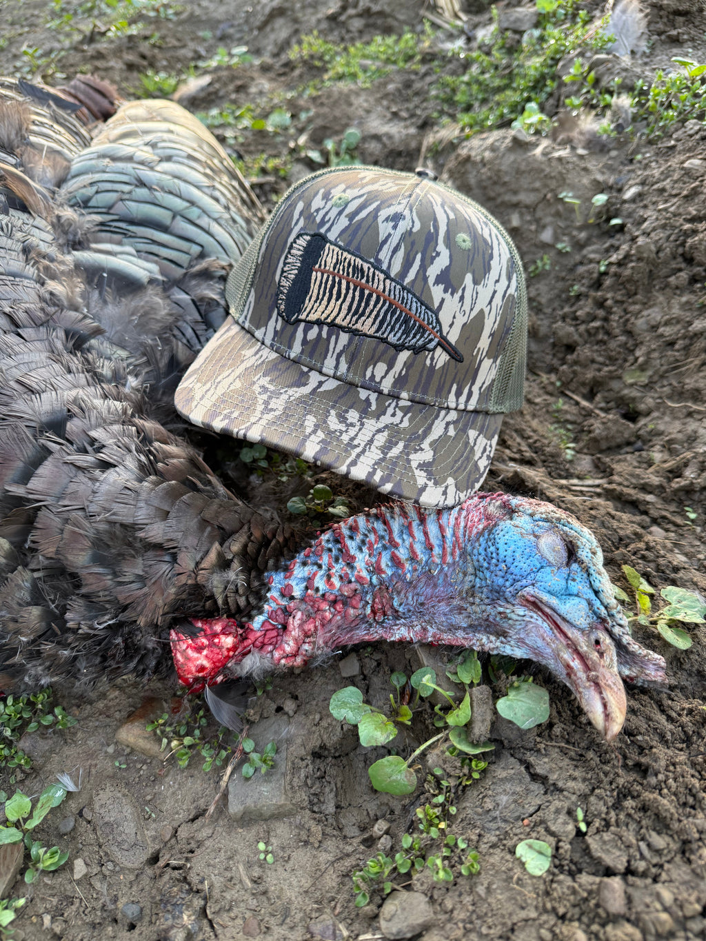 Whitetail Co. Fallen Feather Tree Bark Camo 6 Panel