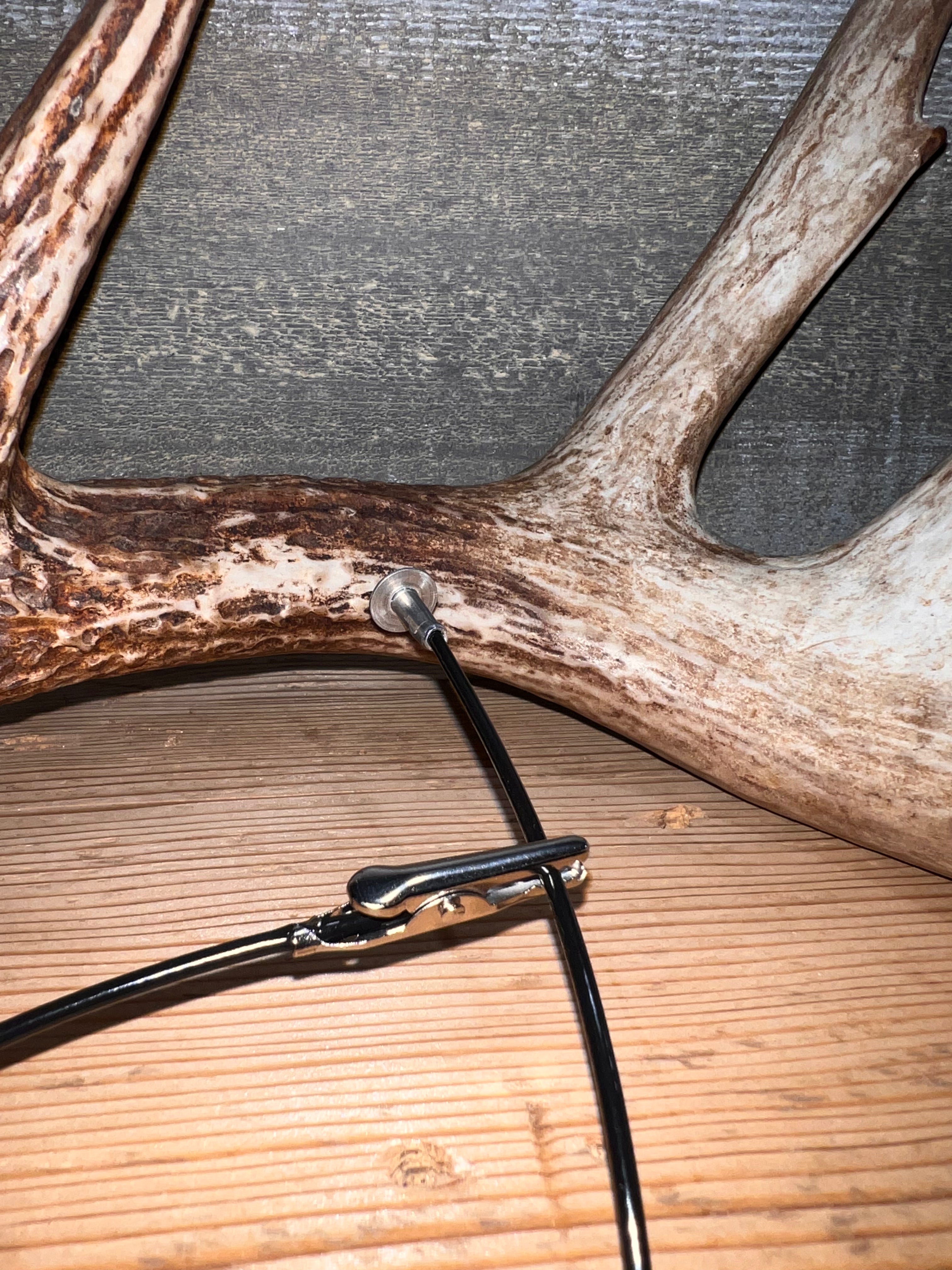 Whitetail Co. Whitetail, Elk and Antelope Antler Score Kit
