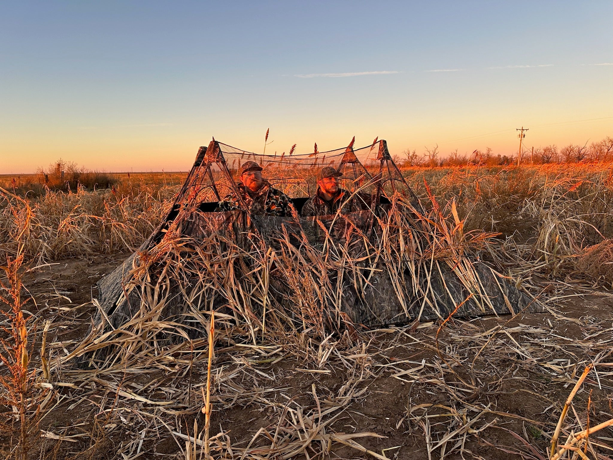 Two hunters in camo blind at sunset, concealed in dry grass field for waterfowl hunting