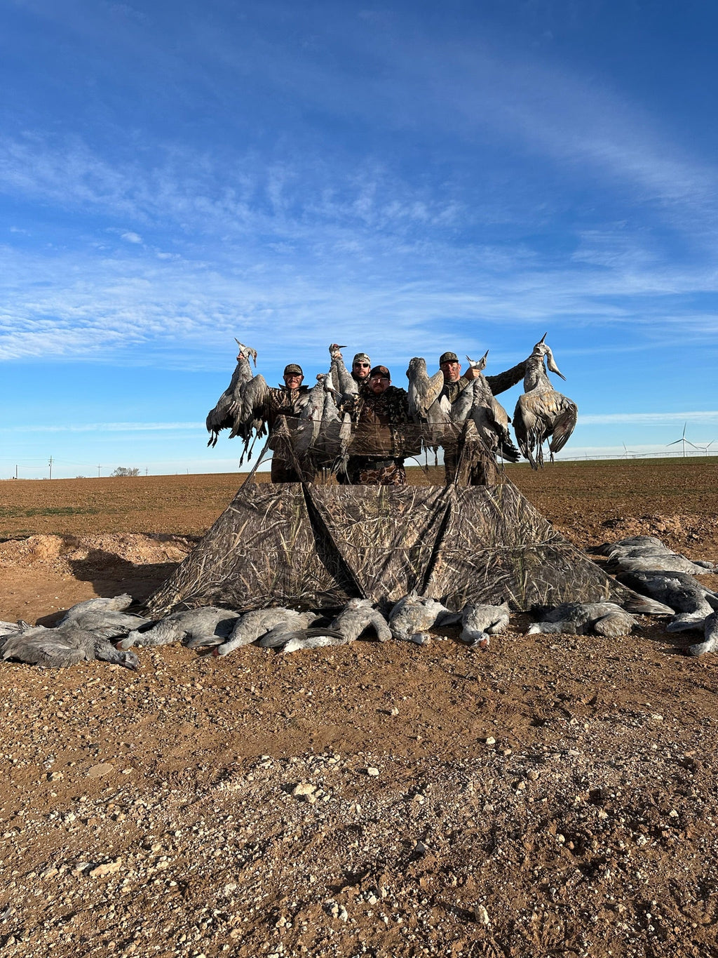 Hunters in camo gear with harvested sandhill cranes beside a blind in open field
