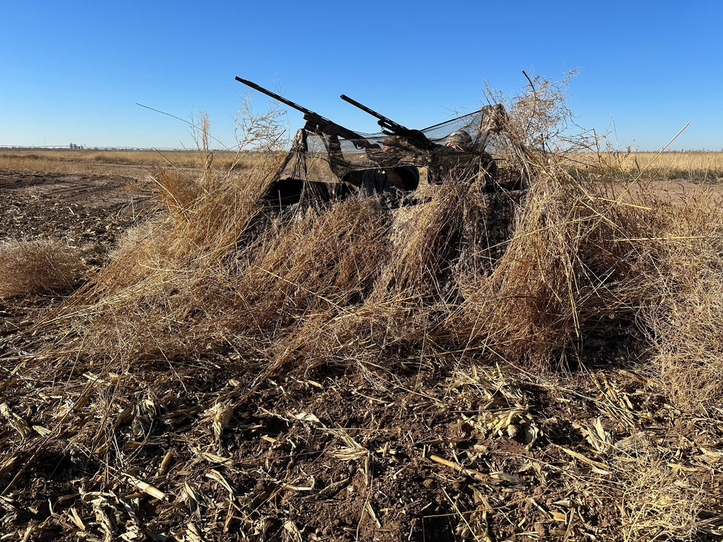 Hunters in camo blinds with rifles, concealed in dry field grass under blue sky