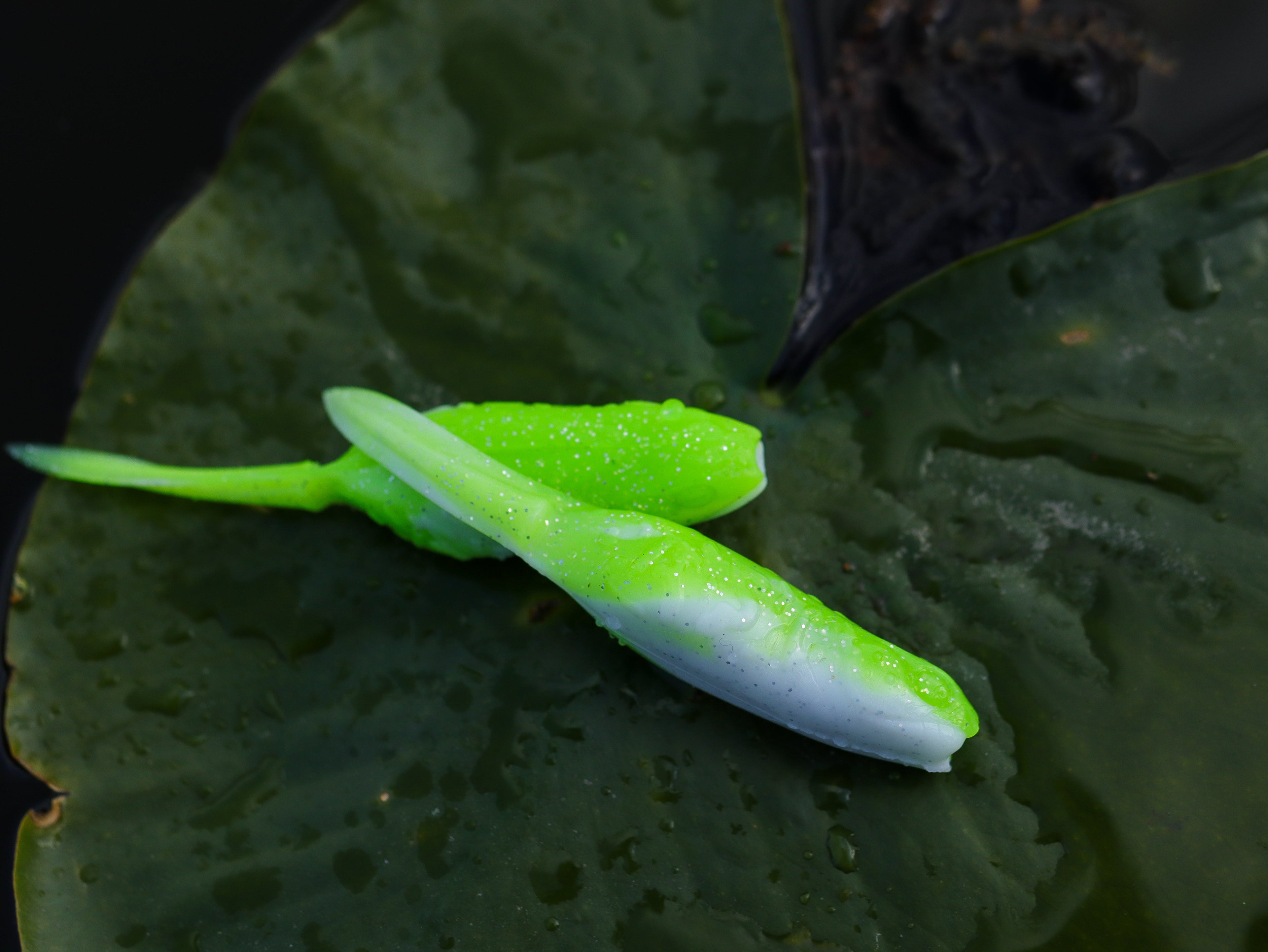 ASC Froglet Soft Plastic Topwater – product view 6 | Venator Hunting