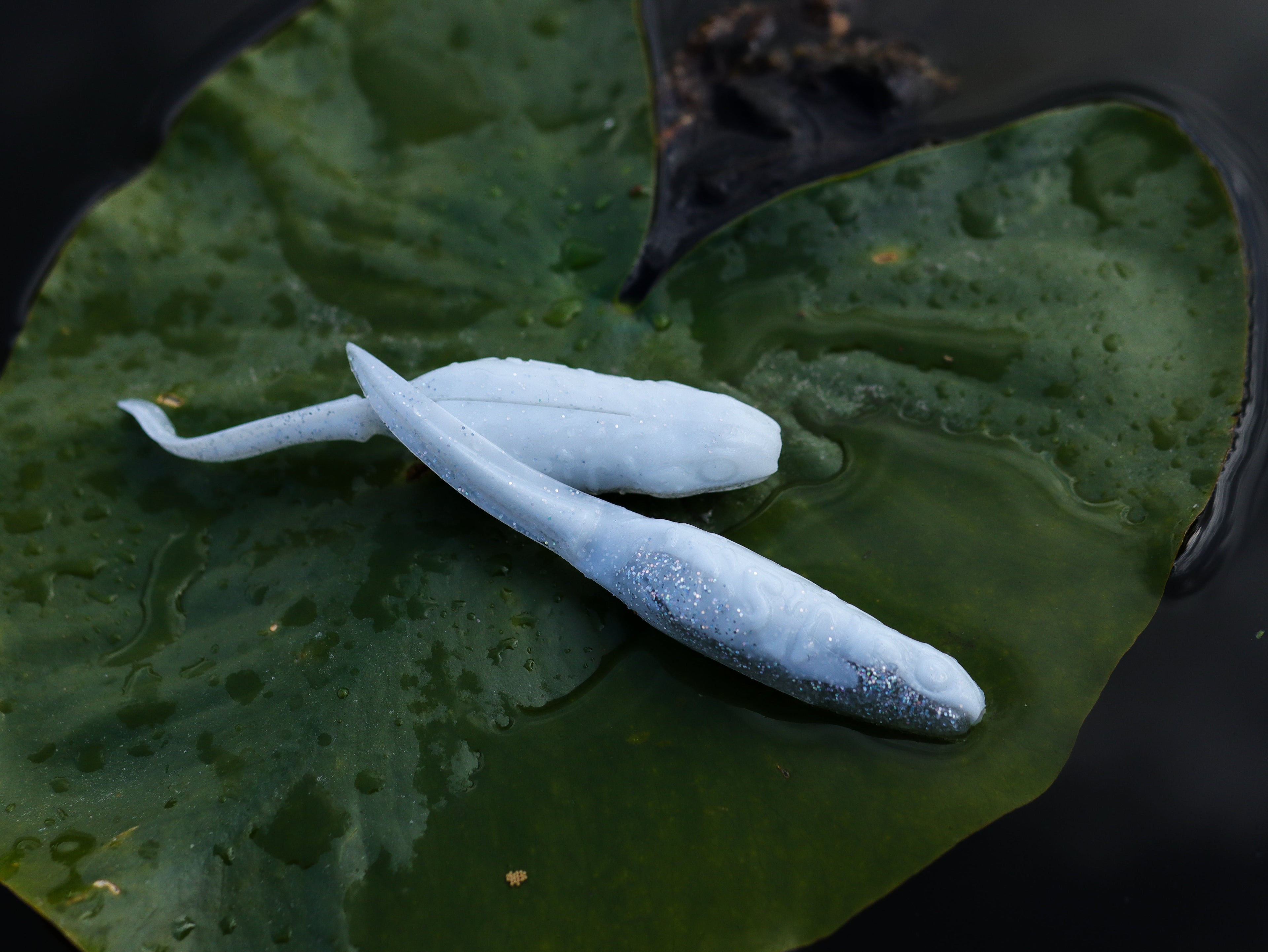 ASC Froglet Soft Plastic Topwater – detail close-up | Venator Hunting
