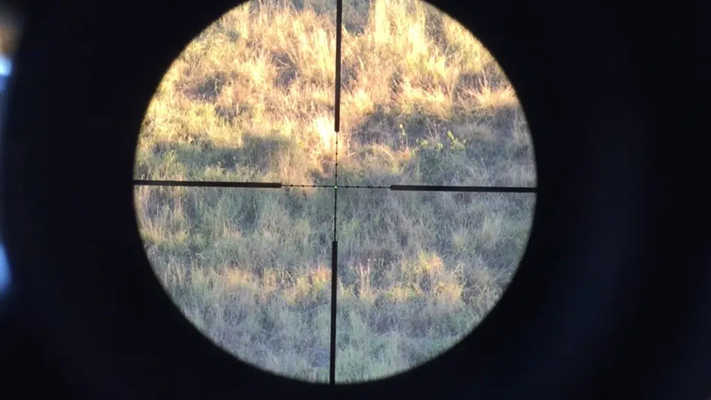 Trijicon AccuPoint – 3-9x40mm Riflescope